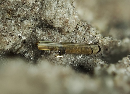 Enstatite - Puy de la Tache - Mont-Dore - Puy de Dôme