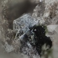 Tridymite - Puy de la Tache - Mont-Dore - Puy de Dôme