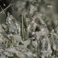  Diopside - Groire - Murol - Puy de Dôme