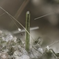  Diopside - Groire - Murol - Puy de Dôme