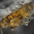  Phillipsite - Montclaret - St Georges Hauteville - Loire