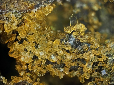Phillipsite - Roca Neyra - Perrier - Puy de Dôme