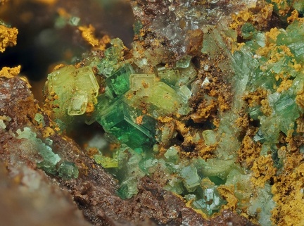 Autunite Torbernite - Chaméane - Le Vernet - Puy-de-Dôme