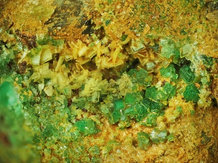 Autunite Torbernite - Chaméane - Le Vernet - Puy-de-Dôme