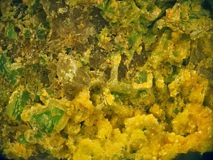 Autunite Torbernite Phosphuranylite - Chaméane - Le Vernet - Puy-de-Dôme