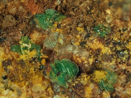 Torbernite - Chaméane - Le Vernet - Puy-de-Dôme