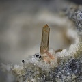 Enstatite - Le Capucin - Mont-Dore - Puy-de-Dôme