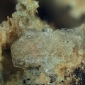 Tridymite - Le Capucin - Mont-Dore - Puy-de-Dôme