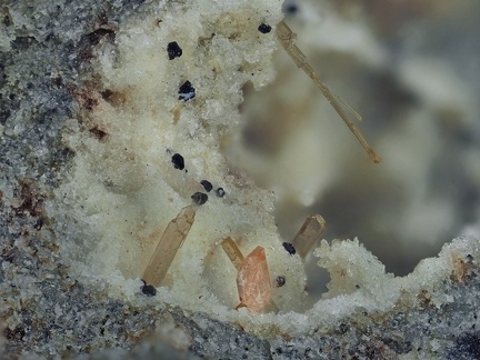 Zircon Enstatite - Le Capucin - Mont-Dore - Puy-de-Dôme