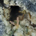 Zircon Enstatite - Le Capucin - Mont-Dore - Puy-de-Dôme