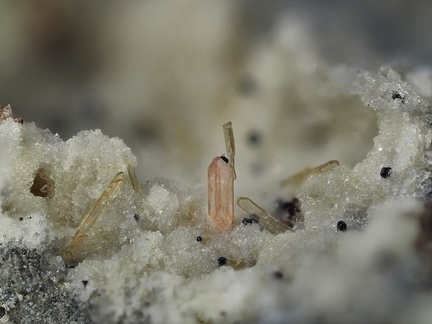 Zircon Enstatite - Le Capucin - Mont-Dore - Puy-de-Dôme