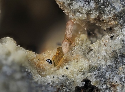 Zircon Enstatite  Hématite - Le Capucin - Mont-Dore - Puy-de-Dôme