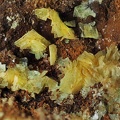 Autunite - Prat-Mérien - Persquen - Morbihan