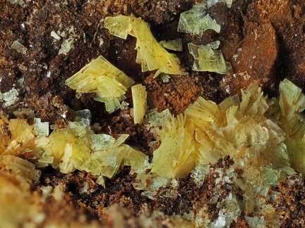 Autunite - Prat-Mérien - Persquen - Morbihan