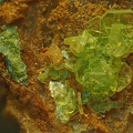Autunite - Prat-Mérien - Persquen - Morbihan