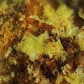 Autunite - Prat-Mérien - Persquen - Morbihan
