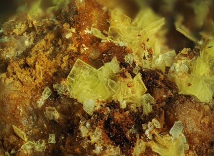 Autunite - Prat-Mérien - Persquen - Morbihan