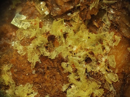 Autunite - Prat-Mérien - Persquen - Morbihan