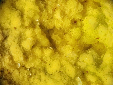 Autunite - Prat-Mérien - Persquen - Morbihan