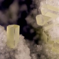 Thomsonite - Vallée de la Papenoo - Tahiti - Polynésie française