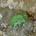 Annabergite - Puy Merle - Saint-Polycarpe - Limoux - Aude