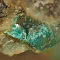 Richelsdorfite  Adamite - Puy Merle - Saint-Polycarpe - Limoux - Aude