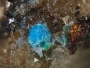Richelsdorfite - Puy Merle - Saint-Polycarpe - Limoux - Aude