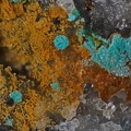 Richelsdorfite - Puy Merle - Saint-Polycarpe - Limoux - Aude