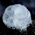 Chabazite (var. phacolite) - Vallée de la Papenoo - Tahiti - Polynésie française