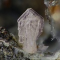 Lanthanite-(Ce) - Mosset - Prades - Pyrénées-Orientales 