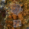 Lanthanite-(Ce) - Mosset - Prades - Pyrénées-Orientales 