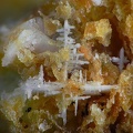 Lanthanite-(Ce)  Allophane -  Mosset - Prades - Pyrénées-Orientales 