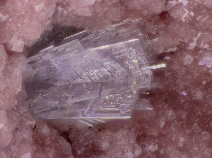 Thomsonite - Vallée de la Papenoo - Tahiti - Polynésie française