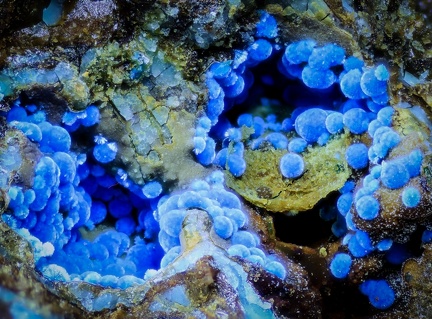 Cyanotrichite - Mine de Salsigne - Salsigne - Carcassonne- Aude