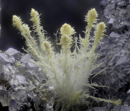 Thomsonite - Vallée de la Papenoo - Tahiti - Polynésie française