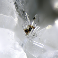 Baryte Calcite - Mine du Chazelet - La Grave - Briançon - Hautes-Alpes