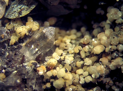Dickite Quartz - Correc d'en Llinassos - Oms - Céret - Pyrénées-Orientales