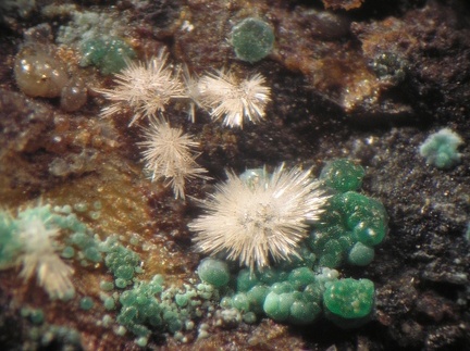 Aragonite Glaukosphaerite - Correc d'en Llinassos - Oms - Céret - Pyrénées-Orientales