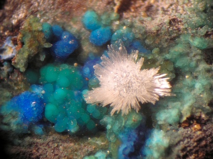 Aragonite Mcguinnessite - Correc d'en Llinassos - Oms - Céret - Pyrénées-Orientales