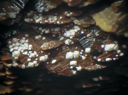 Dolomite - Correc d'en Llinassos - Oms - Céret - Pyrénées-Orientales