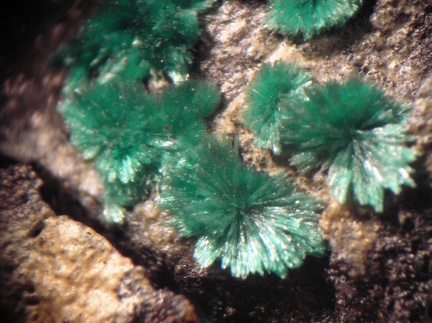 Malacchite - Correc d'en Llinassos - Oms - Céret - Pyrénées-Orientales