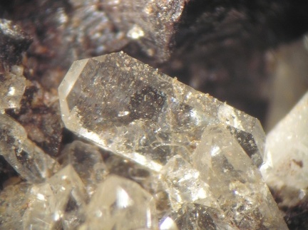 Quartz - Correc d'en Llinassos - Oms - Céret - Pyrénées-Orientales