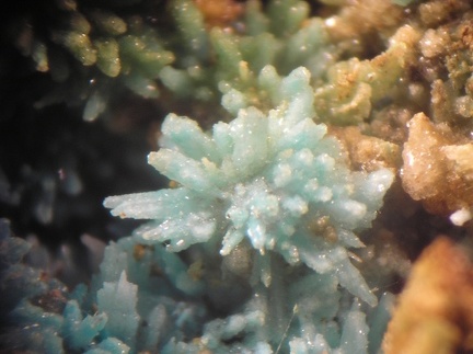 Aragonite - Mas Viçens - Fontcouverte -  Caixas - Pyrénées-Orientales 