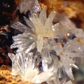 Aragonite - Mas Viçens - Fontcouverte -  Caixas - Pyrénées-Orientales 