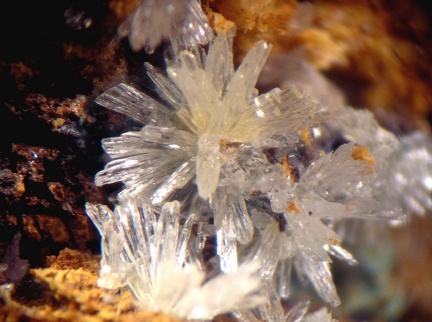 Aragonite - Mas Viçens - Fontcouverte -  Caixas - Pyrénées-Orientales 