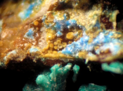 Cyanotrichite Jarosite - Mas Viçens - Fontcouverte -  Caixas - Pyrénées-Orientales 