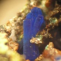 Linarite - Mas Viçens - Fontcouverte -  Caixas - Pyrénées-Orientales 