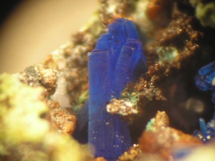 Linarite - Mas Viçens - Fontcouverte -  Caixas - Pyrénées-Orientales 