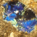 Linarite - Mas Viçens - Fontcouverte -  Caixas - Pyrénées-Orientales 