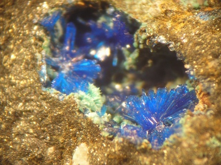 Linarite - Mas Viçens - Fontcouverte -  Caixas - Pyrénées-Orientales 